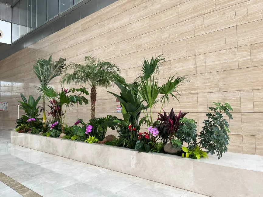 海曙绿植出租设计，为家居注入自然活力